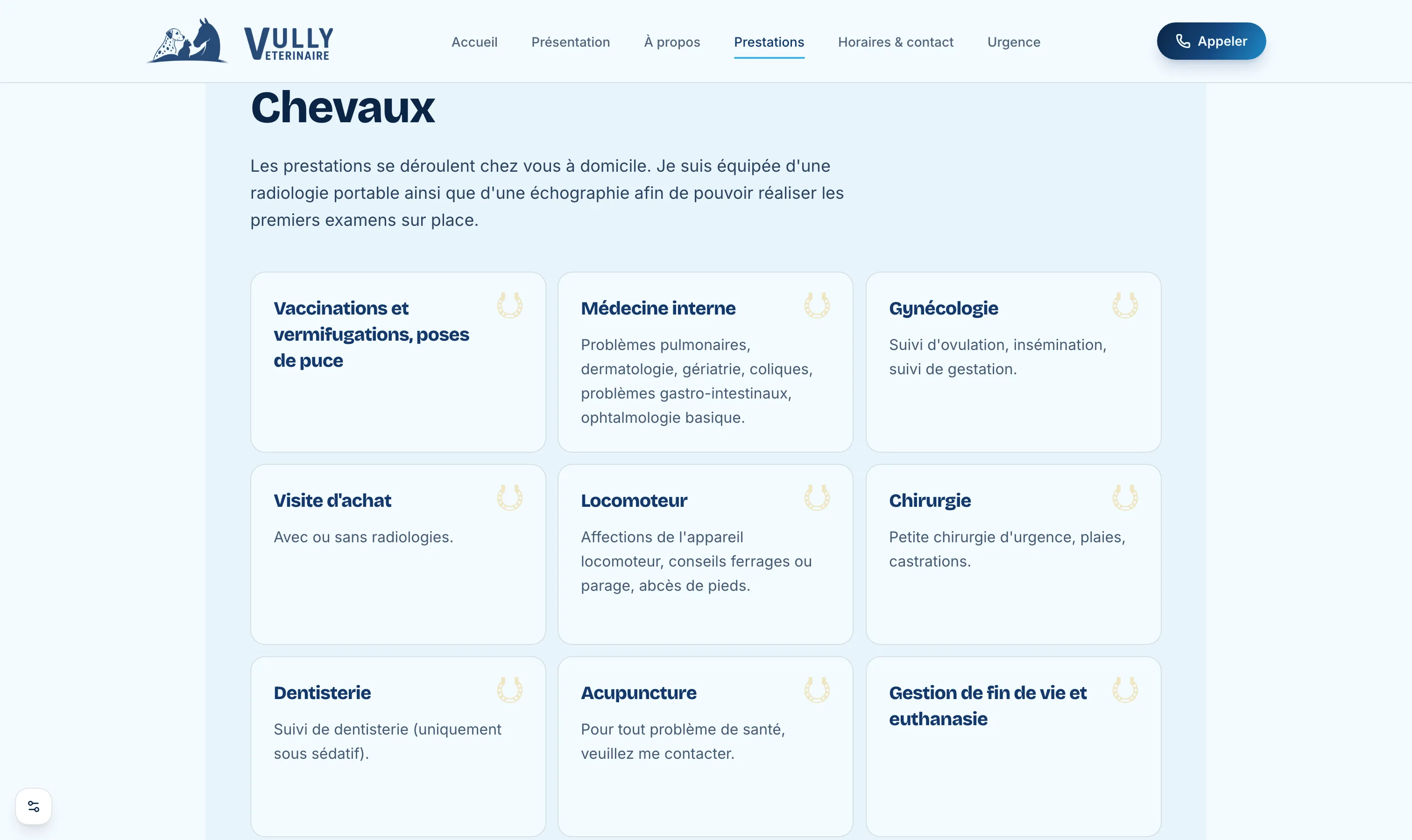 Page Prestations du site Vully Vétérinaire : prestations pour chevaux